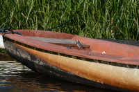 Natuurbegraafplaats Laude